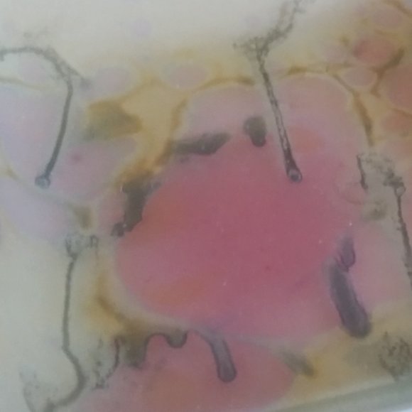 Rueven Art Glass Square Trinket Dish - Picture 9 of 9